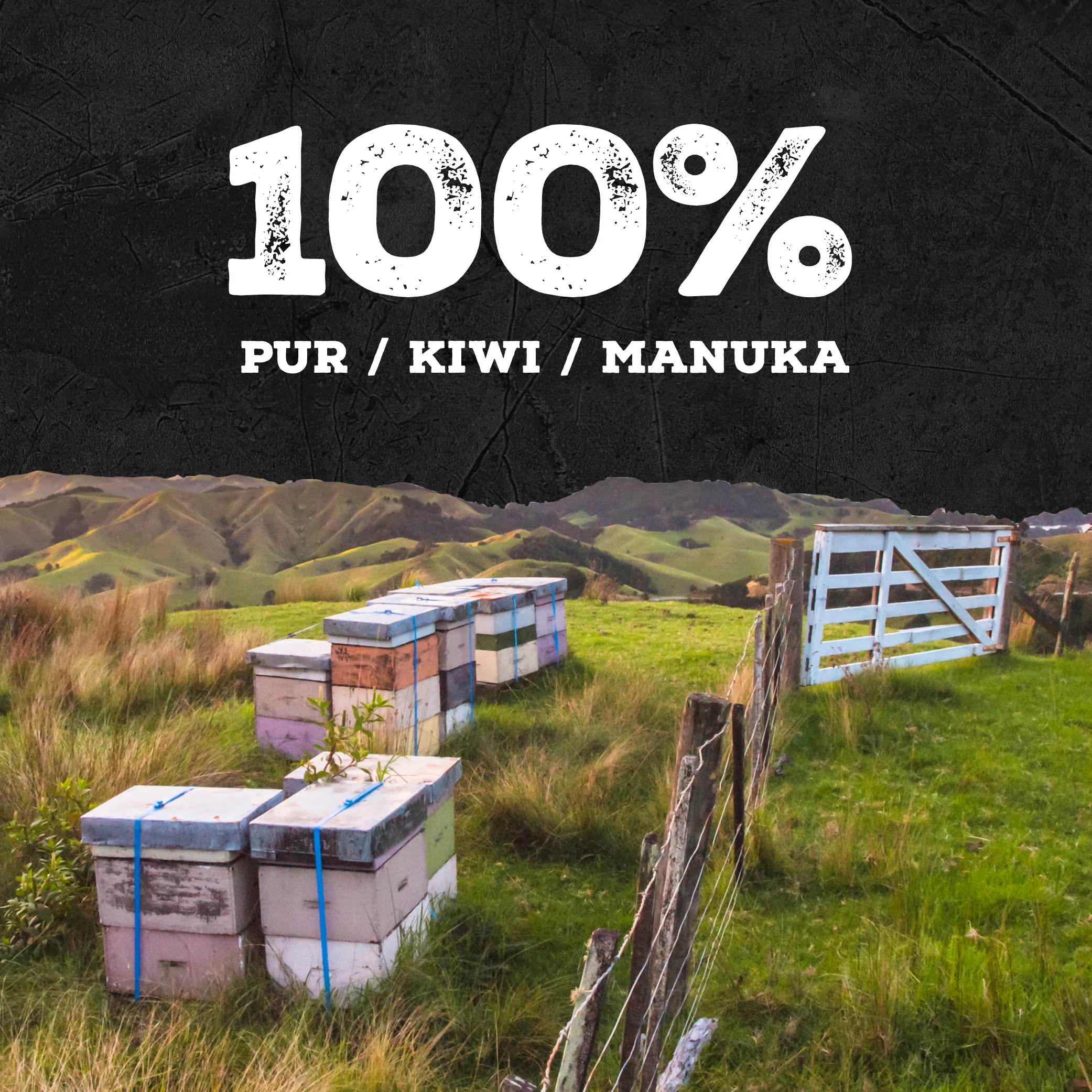 640 MGO Manuka Honig 500g - Image 11