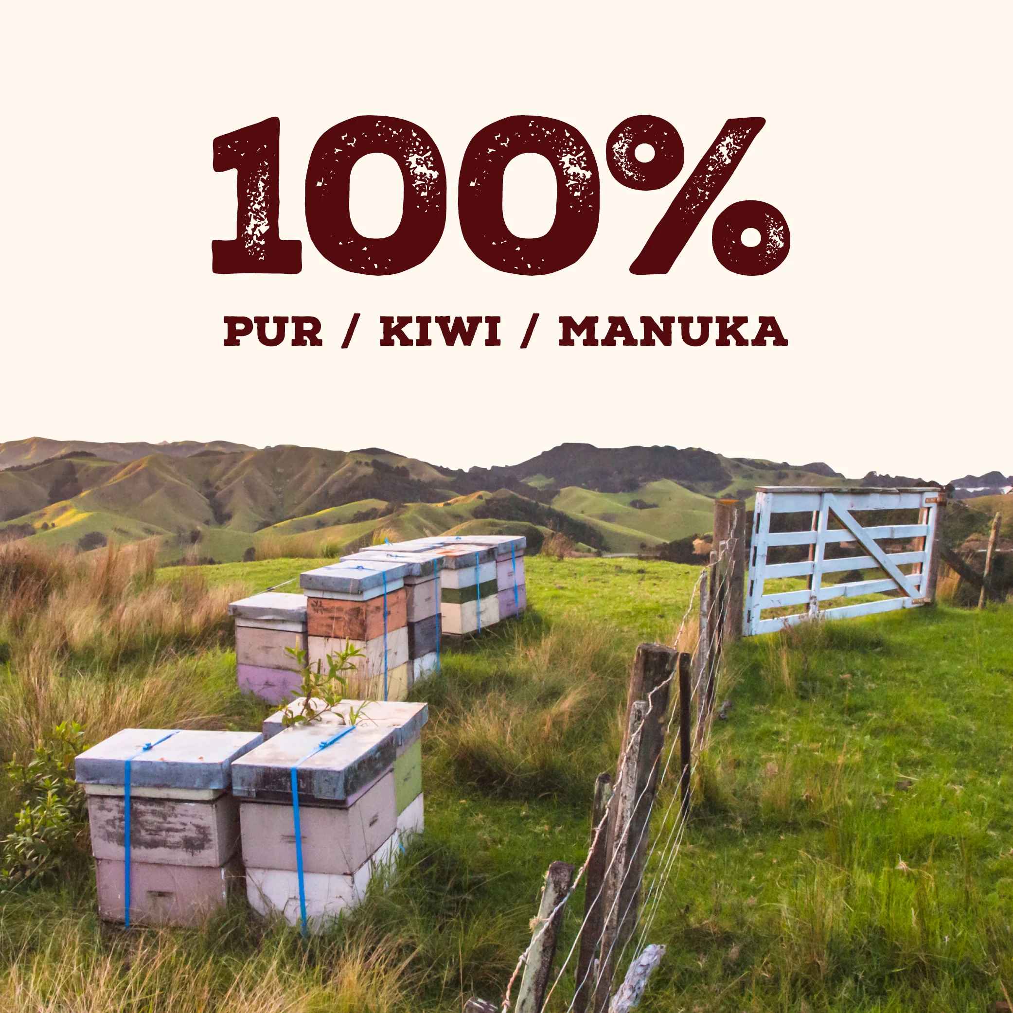 240 MGO Manuka Honig 500g - MHD: September 2026 - Image 12